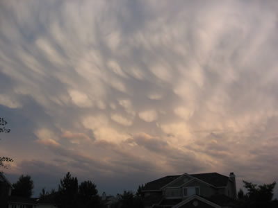 <a
  href="/earth/Atmosphere/clouds/mammatus.html&edu=high">Mammatus
  clouds</a> are pouches of clouds that hang underneath the base of a cloud.
  They are usually seen with <a
  href="/earth/Atmosphere/clouds/cumulonimbus.html&edu=high">cumulonimbus
  clouds</a> that produce very <a
  href="/earth/Atmosphere/tstorm.html&edu=high">strong
  storms</a>. This photograph of mammatus clouds was taken on June 21, 2006 in
  Boulder, Colorado, at sunset. Notice how the light from the sun highlights
  the round features of these clouds.<p><small><em>       Courtesy of Roberta Johnson</em></small></p>