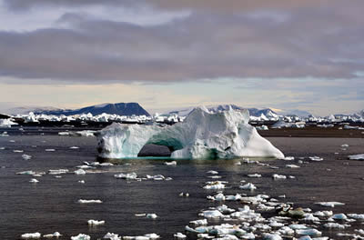 <a href="/teacher_resources/climate_change_course.html&edu=elem&lang=sp&dev=" class=outlink>lectura de cursos</a>,  <a href="/php/teacher_resources/activity.php#6?lang=sp">actividades y presentaciones para la class</a>e interactivos en lnea.  Nuestra <a href="/teacher_resources/climate.html&edu=elem&lang=sp&dev=" class=outlink>pgina de Recursos para Educacin del cambio Climtico </a> ofrece enlaces a contenido que puede usar directamente en su clase!<p><small><em>    Mila Zinkova</em></small></p>