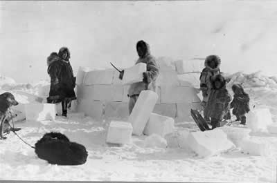 <a href="/earth/polar/inuit_culture.html&edu=high&lang=sp">Los  Inuit</a> son las culturas nativas que an viven en las costas de la <a href="/earth/polar/arctic_tundra.html&edu=high&lang=sp"> tundra rtica</a> en Canad, Alaska (USA), Siberia (Rusia), and Groenlandia. Esta foto muestra varios inuits construyendo un igl con bloques de <a   href="/earth/polar/cryosphere_snow1.html&edu=high&lang=sp">nieva</a>el 24 de noviembre, 1924. Tradicionalmente han vivido en igls durante los meses ms fros, y en tiendas de campaas durante los ms clidos.<p><small><em>        Imgenes y fotografas de la Biblioteca del Congreso, Fotografas por Frank E. Kleinschmidt</em></small></p>