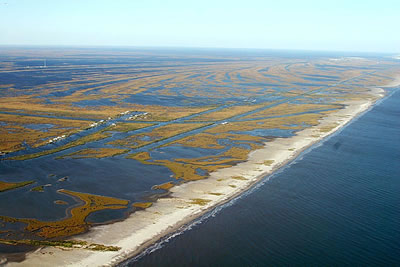 Los cientficos estn siguiendo los efectos del <a href="/teacher_resources/main/teach_oil_spill.html&lang=sp">reciente derrame de petrleo en el Golfo de Mxico</a> sobre las tierras bajas de la costa de Louisiana. Robert Twilley y Guerry Holm de la Universidad Estatal de Louisiana (LSU) quieren entender el papel que el rio Mississippi tendr en evitar la contaminacin de la costa y tierras bajas de esta parte del Golfo de Mxico. Ms informacin <a href="/headline_universe/olpa/OilSpill_17June10.html&lang=sp" class=outlink>aqu</a>.<p><small><em>Imagen cortesa de USGS</em></small></p>