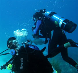 Scuba divers